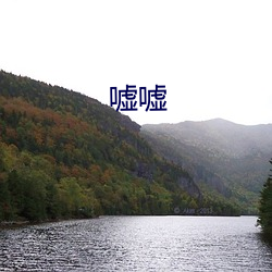 剑气萧萧孔雀翎