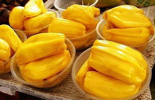 十字军 上（国语版）