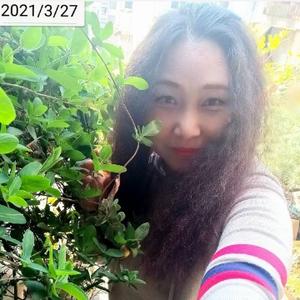 午夜凶铃3：贞相大白